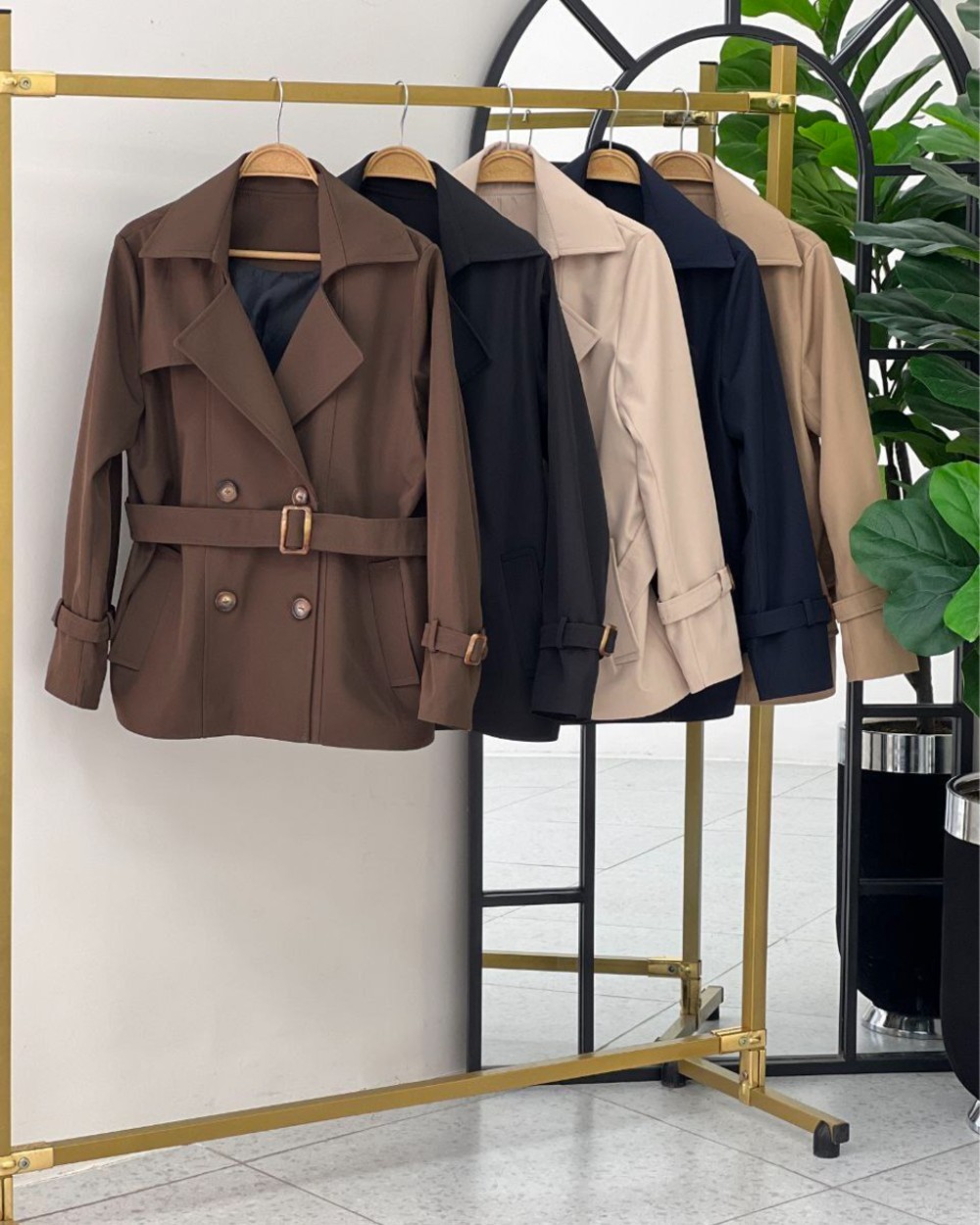 بارانی رویا